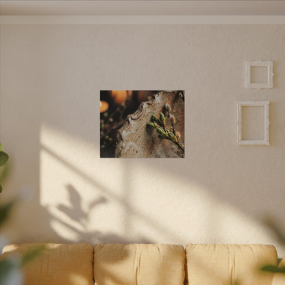 Overcast Ceramic Bowl Canvas Art - Japandi Ma