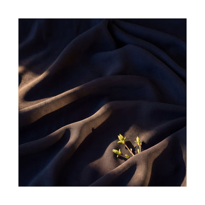Atmospheric Silk Drape Wall Art Print - Shadow Zen Dark Japandi