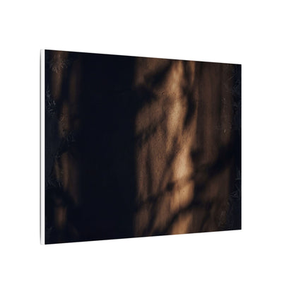 Winter Shadow Play Moody Minimal Canvas Art | Luxurious Decor