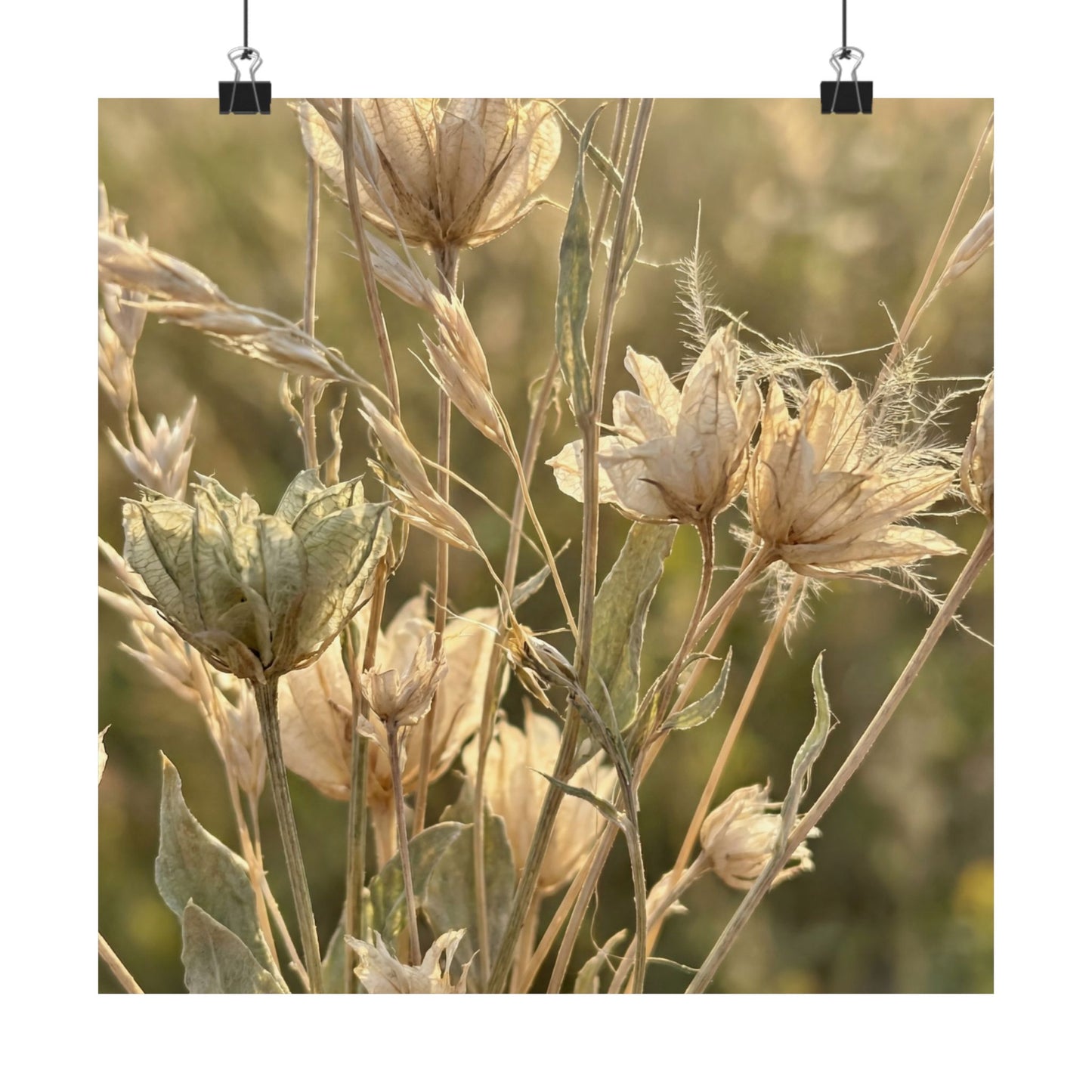 Cozy Dried Flowers Wall Art Print - Minimal Line Japandi Art Print
