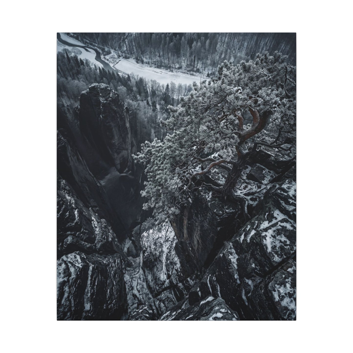 Dark Japandi Pine Tree in Dappled | Dark Texture Canvas Art
