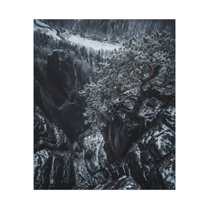 Dark Japandi Pine Tree in Dappled | Dark Texture Canvas Art