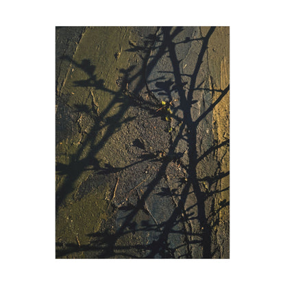 Kanso Shadow Play Canvas Art - Dark Japandi Dark Texture