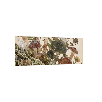 Winter Wild Mushrooms Herbarium Canvas Art | Enchanting Decor