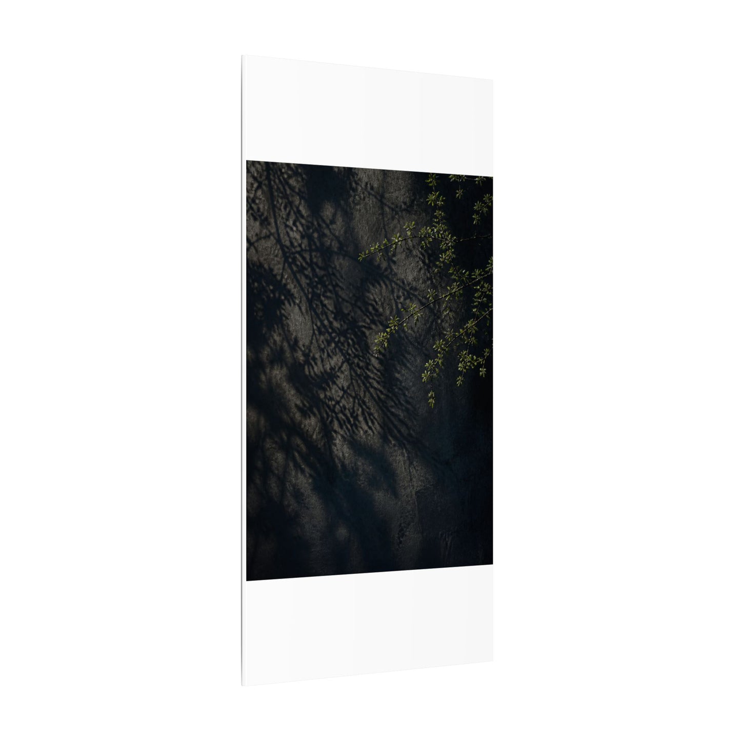 Overcast Shadow Play Canvas Art - Dark Japandi Seijaku