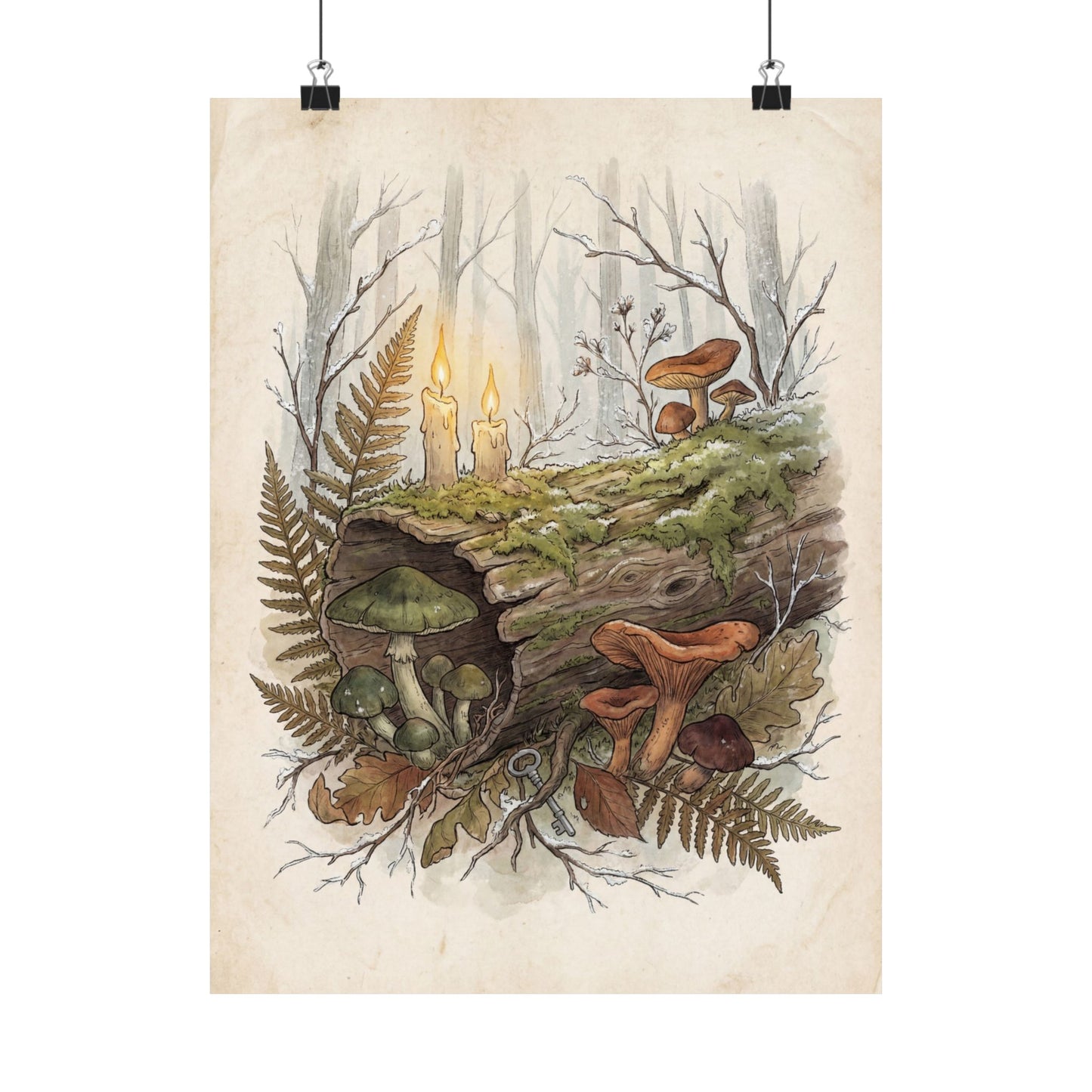 Winter Wild Mushrooms Herbarium Wall Art Print | Rustic Decor Art Print