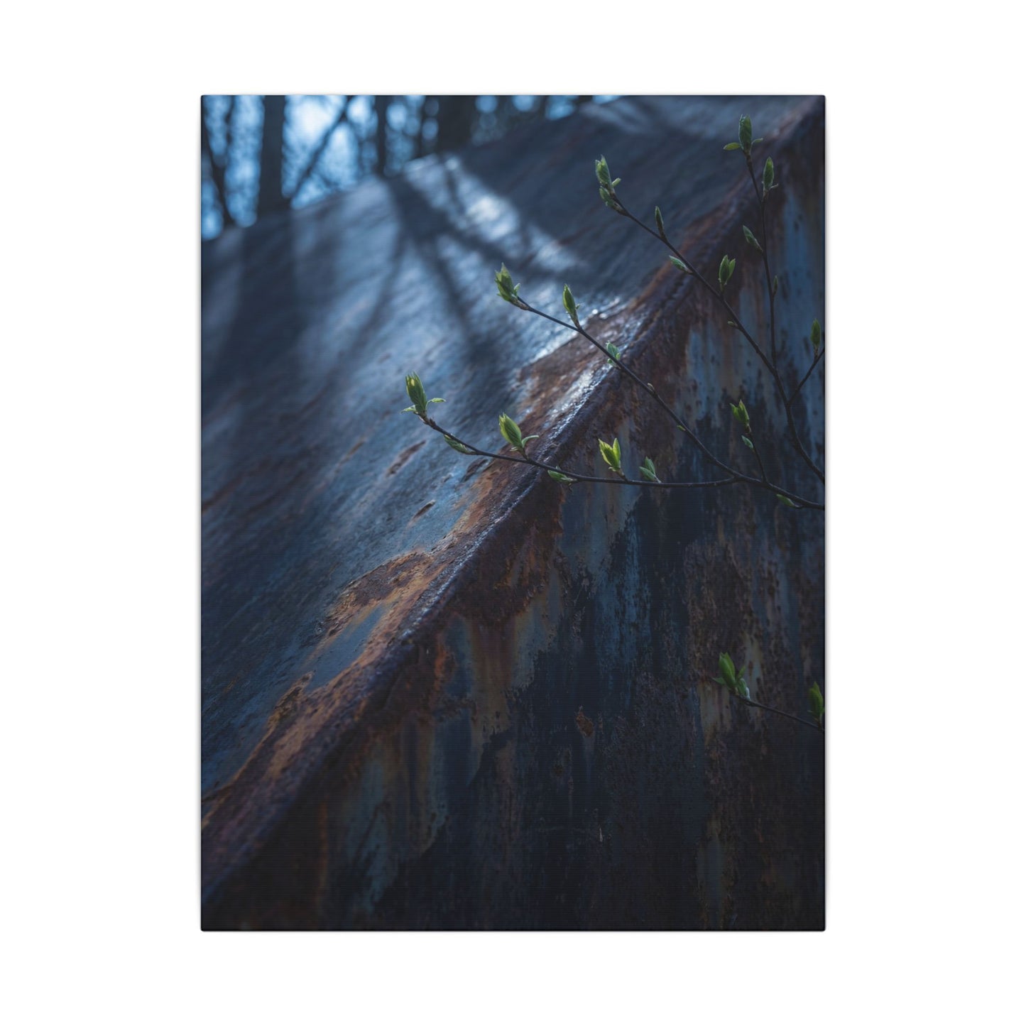 Rust Patina Canvas Art | Spring Dark Japandi Shadow Zen Art