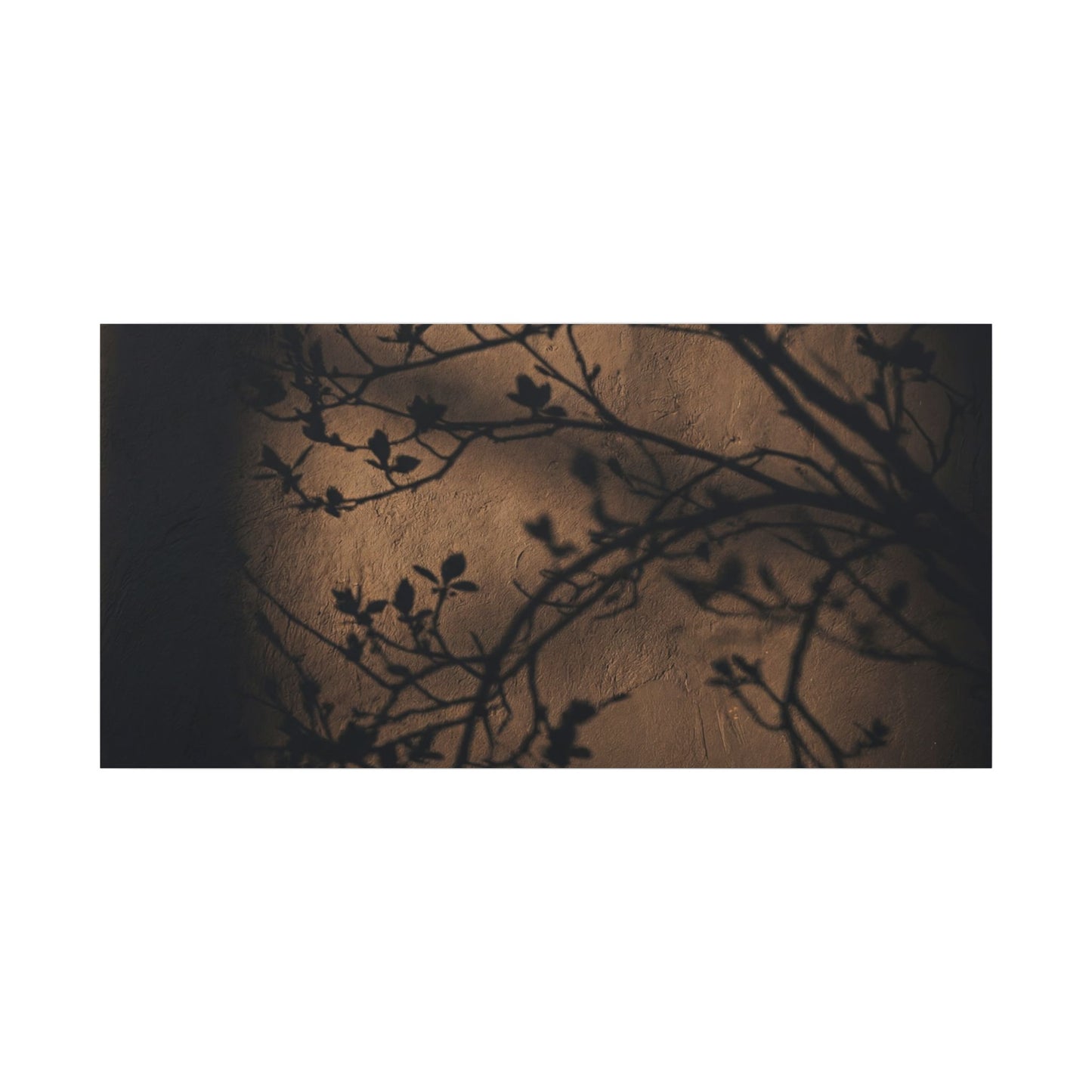 Dark Japandi Shadow Play in Golden Hour | Shadow Zen Canvas Art