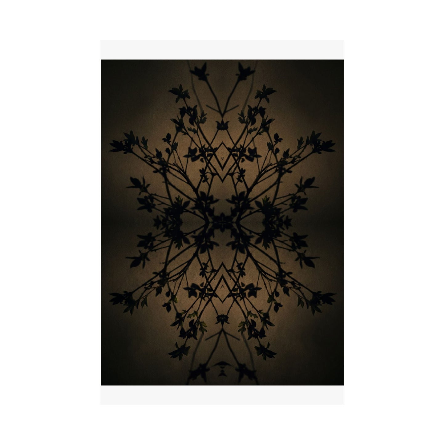 Shadow Play Wall Art Print | Spring Dark Japandi Shadow Zen Art