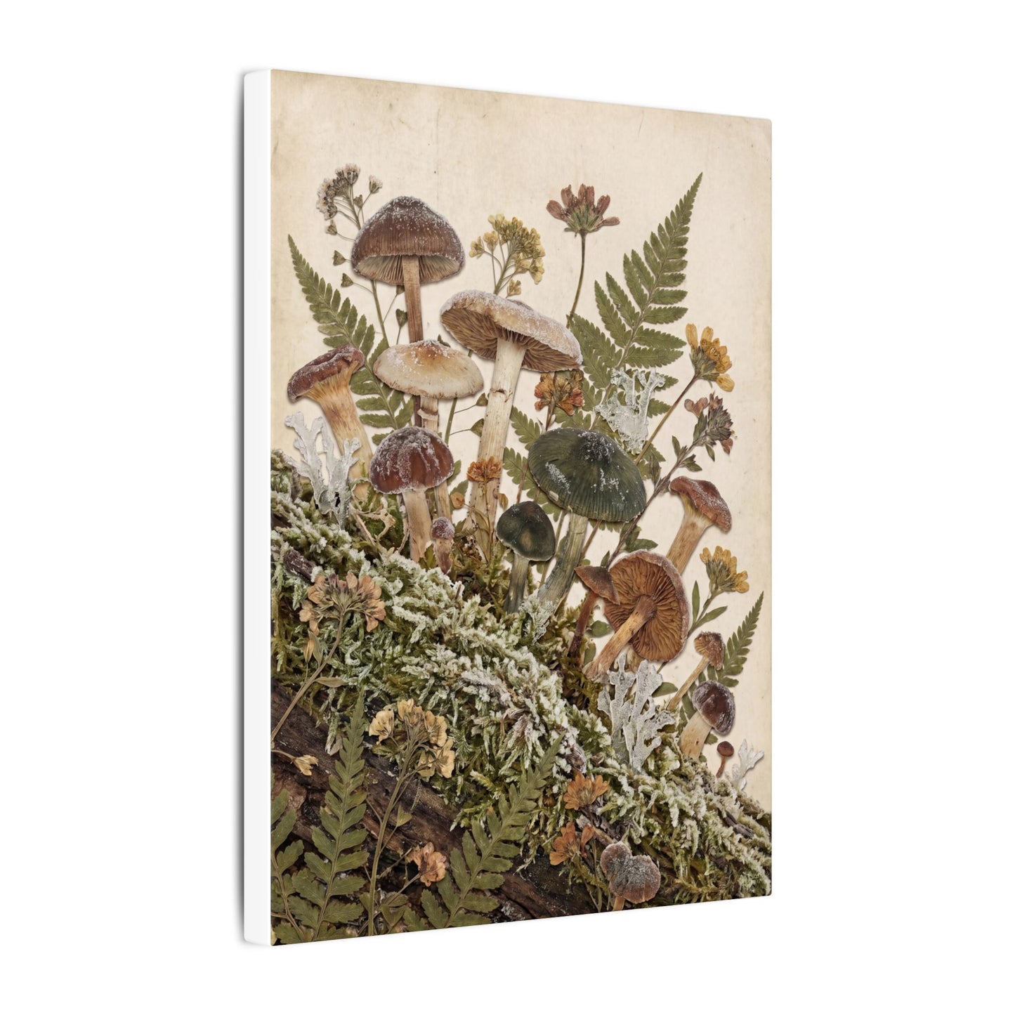 Winter Wild Mushrooms Herbarium Canvas Art | Enchanting Decor