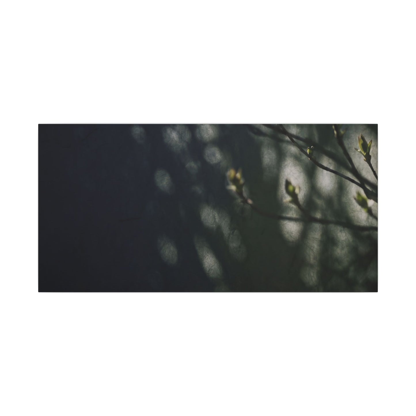 Dark Japandi Shoji Screen in Dappled | Moody Minimal Canvas Art