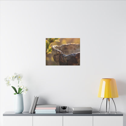 Golden Hour Ceramic Bowl Canvas Art - Dark Japandi Ma