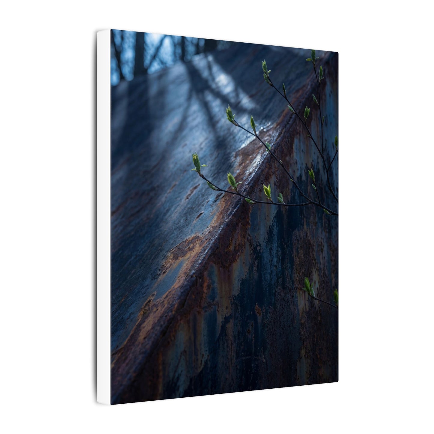 Rust Patina Canvas Art | Spring Dark Japandi Shadow Zen Art