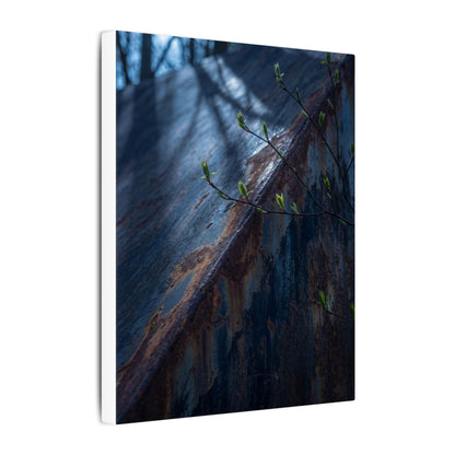 Rust Patina Canvas Art | Spring Dark Japandi Shadow Zen Art
