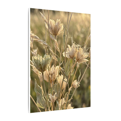 Summer Dried Flowers Minimal Line Canvas Art | Cozy Decor