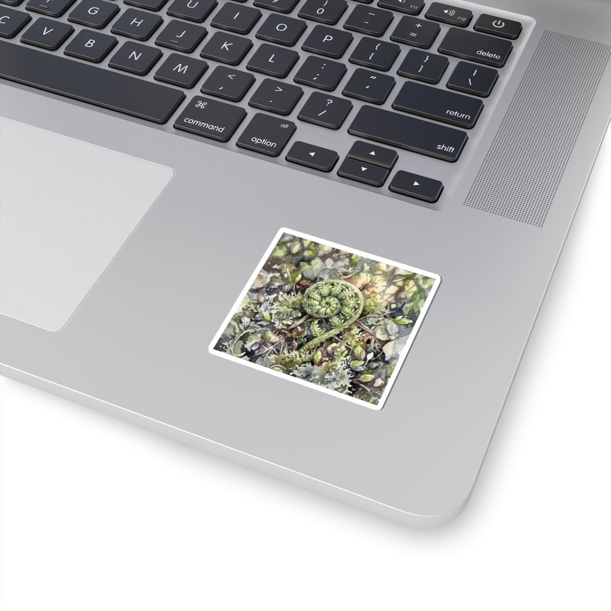 Japandi Fern Unfurling in Dappled | Watercolor Sticker