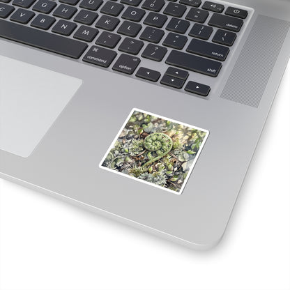 Japandi Fern Unfurling in Dappled | Watercolor Sticker