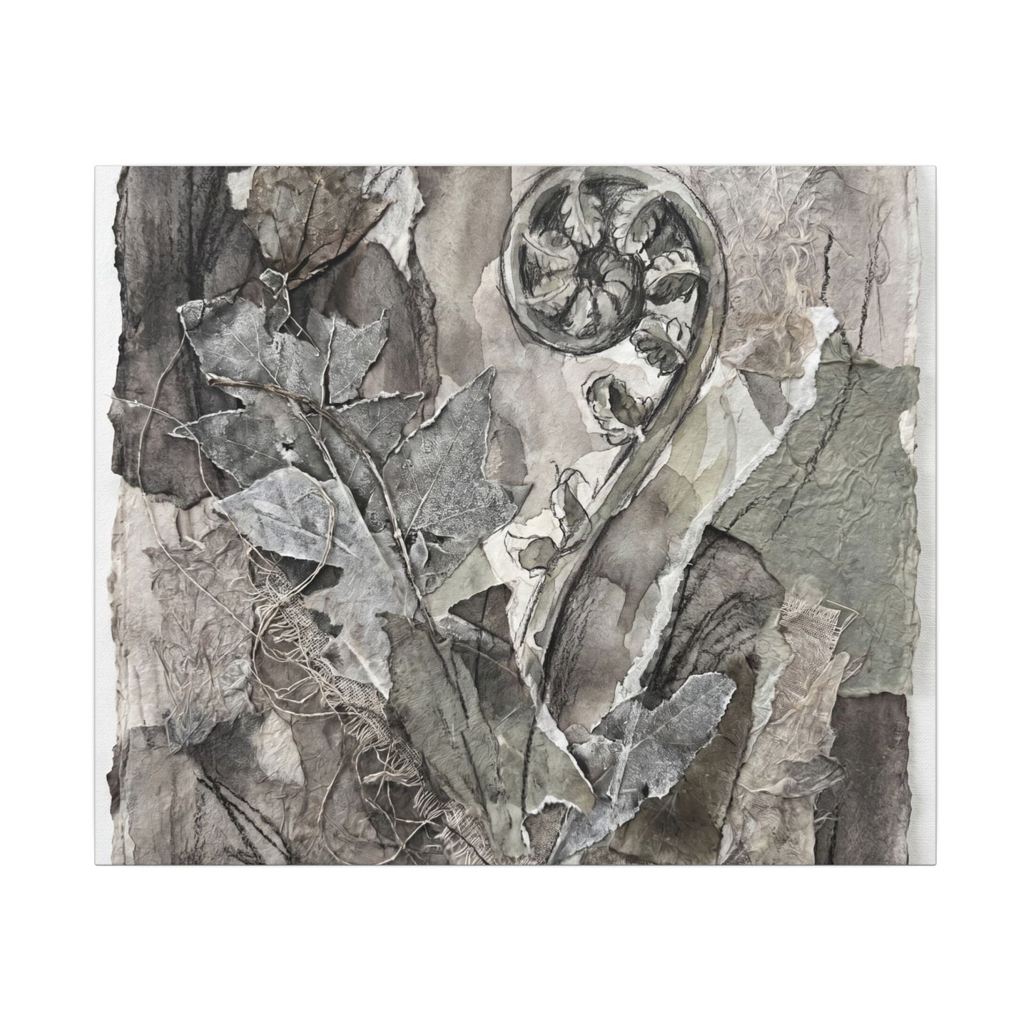 Japandi Fern Unfurling in Overcast | Texture Canvas Art