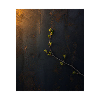 Bold Rust Patina Wall Art Print - Moody Minimal Dark Japandi