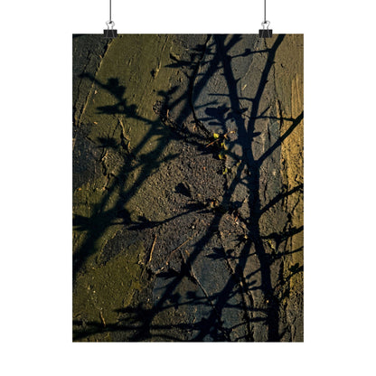Golden Hour Shadow Play Wall Art Print - Dark Japandi Kanso Art Print