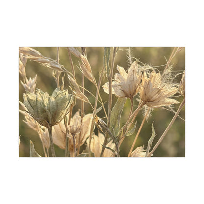 Summer Dried Flowers Minimal Line Canvas Art | Cozy Decor Art Print