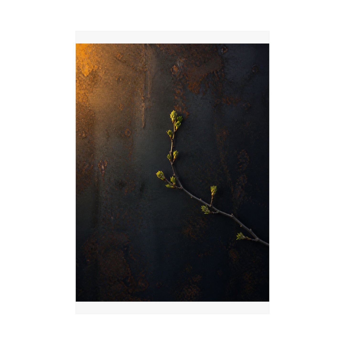 Bold Rust Patina Wall Art Print - Moody Minimal Dark Japandi