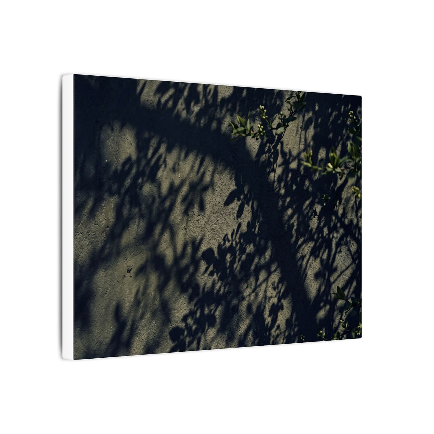 Atmospheric Shadow Play Canvas Art - Moody Minimal Dark Japandi