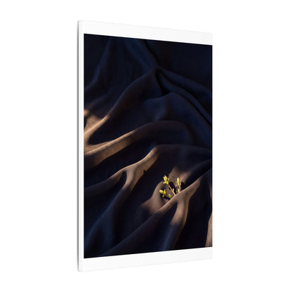 Silk Drape Shadow Zen Canvas Art | Luxurious Dark Japandi Art
