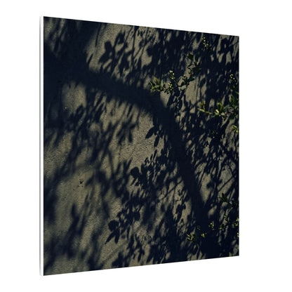 Atmospheric Shadow Play Canvas Art - Moody Minimal Dark Japandi