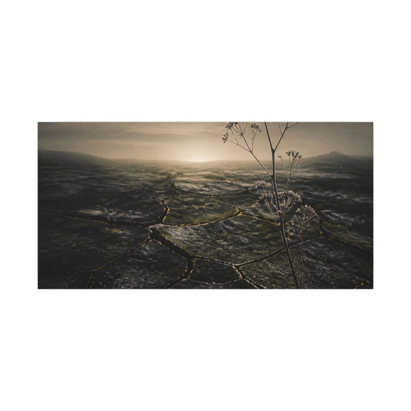Dawn Cracked Earth Canvas Art - Dark Japandi Mono No Aware