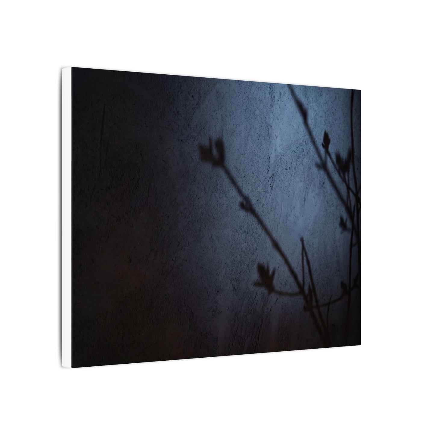 Shadow Play Canvas Art | Spring Dark Japandi Moody Minimal Art