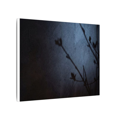 Shadow Play Canvas Art | Spring Dark Japandi Moody Minimal Art