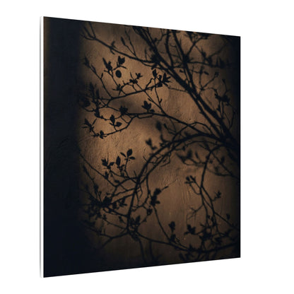 Dark Japandi Shadow Play in Golden Hour | Shadow Zen Canvas Art