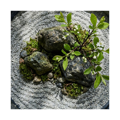 Ceramic Bowl Spring Wall Art Print | Zen Tranquil Design