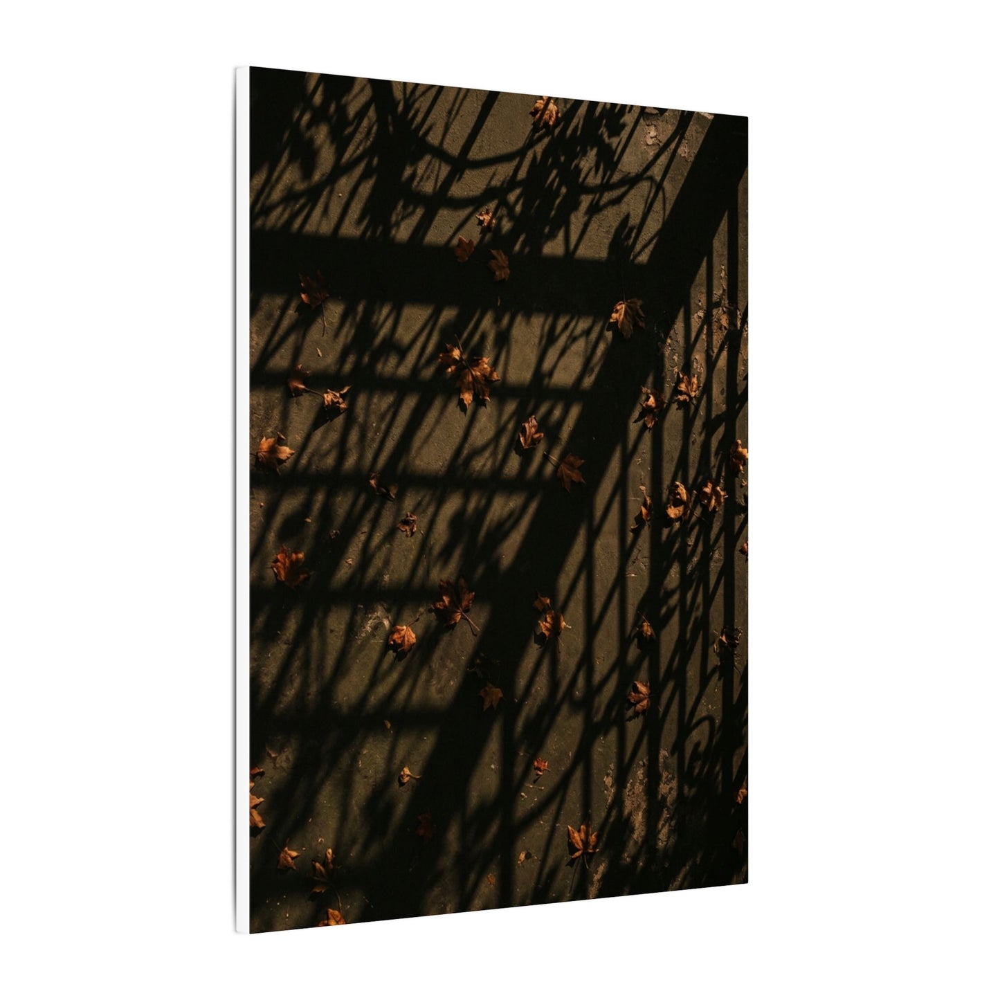 Dark Japandi Shadow Play in Golden Hour | Moody Minimal Canvas Art