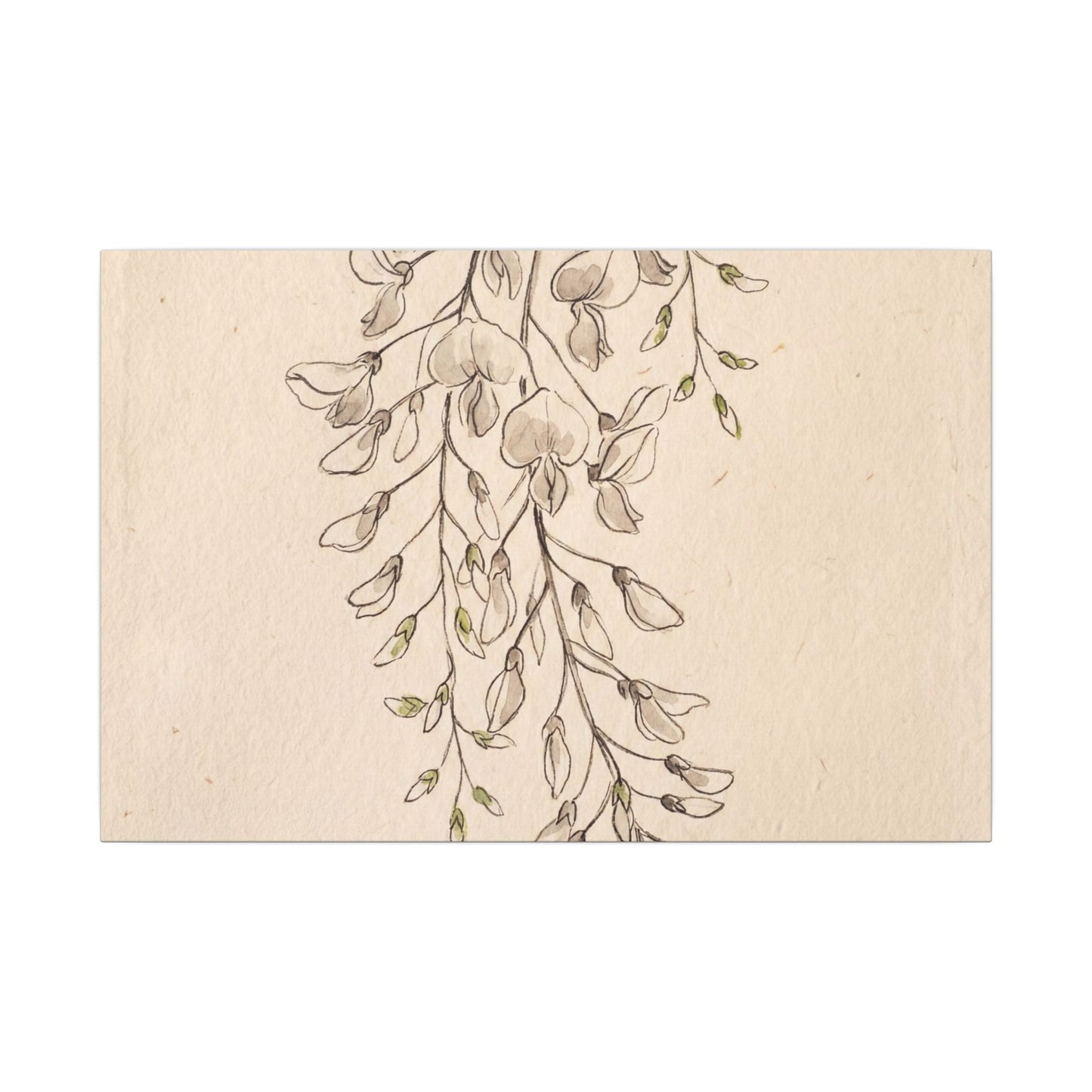Japandi Wisteria in Golden Hour | Minimal Line Canvas Art