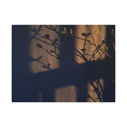 Shadow Play Canvas Art | Spring Dark Japandi Shadow Zen Art Art Print