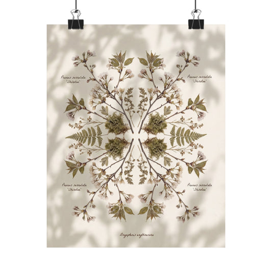 Cherry Blossom Winter Wall Art Print | Cottagecore Rustic Design