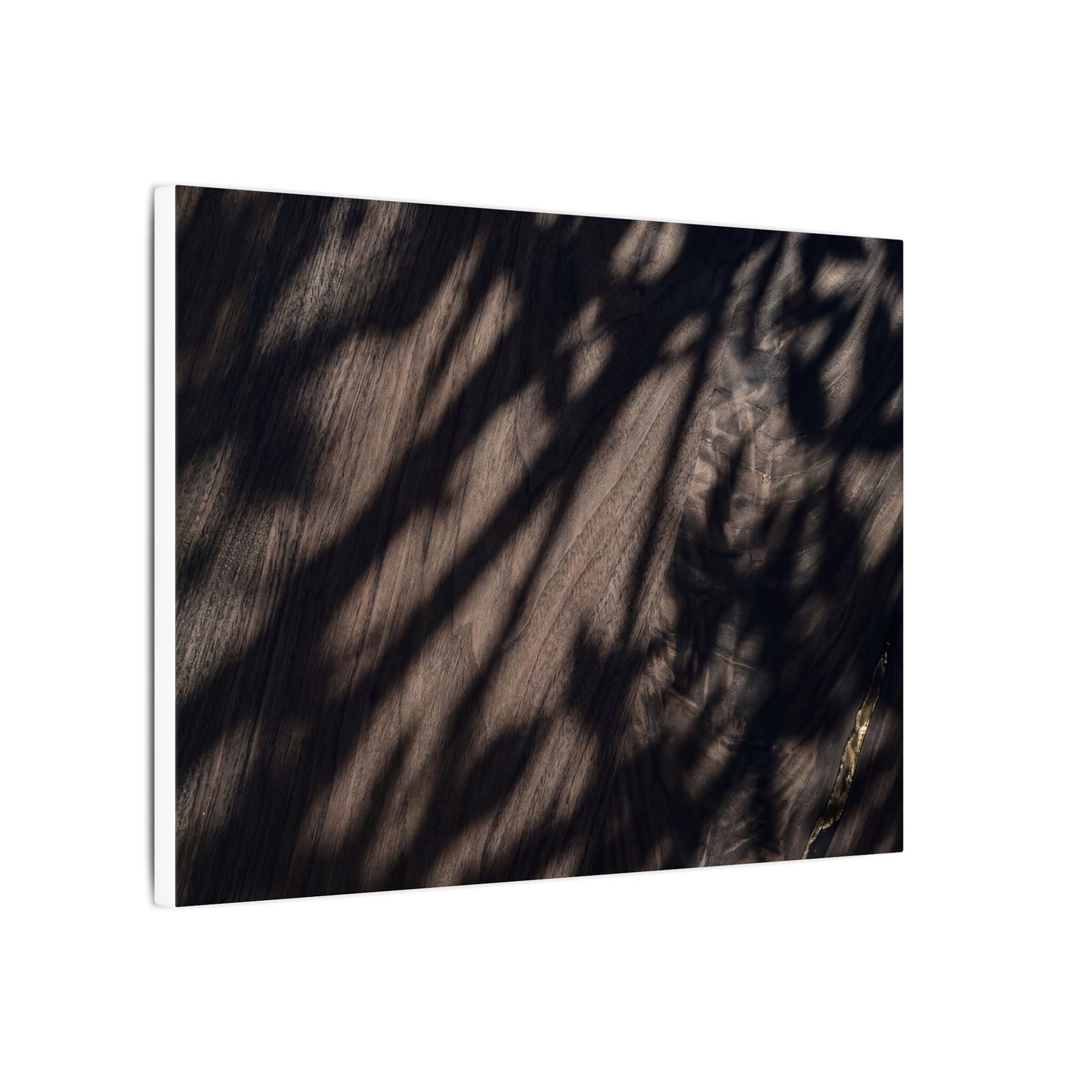 Shadow Play Summer Canvas Art | Dark Japandi Moody Design
