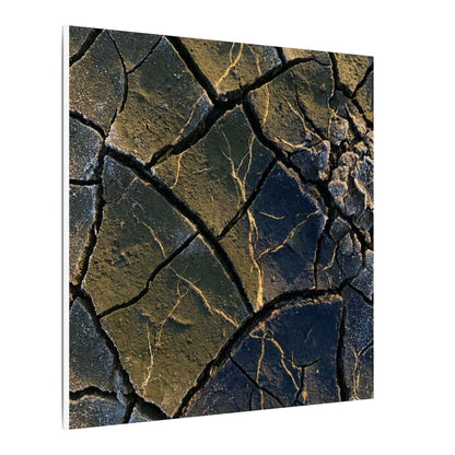 Winter Cracked Earth Moody Minimal Canvas Art | Atmospheric Decor