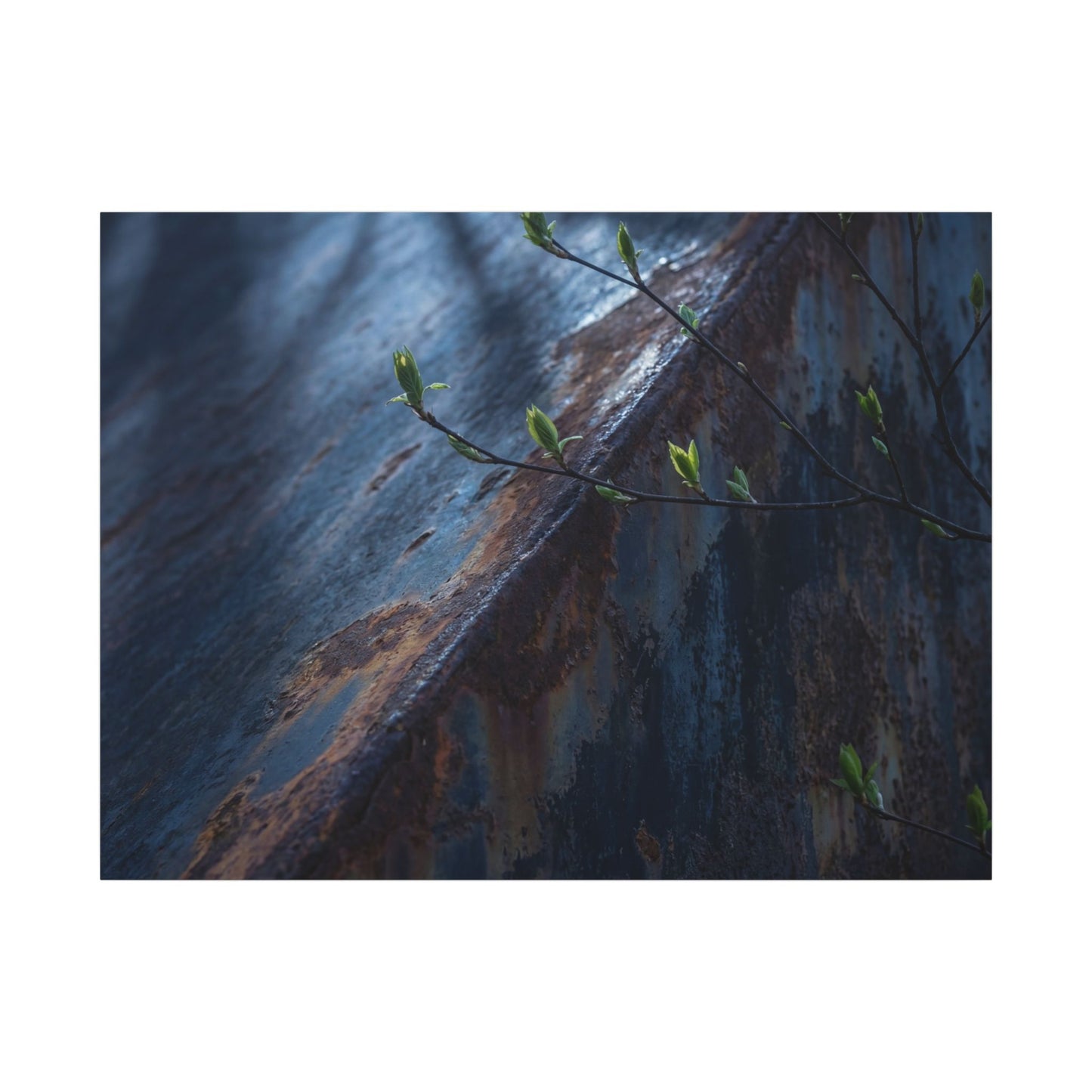 Rust Patina Canvas Art | Spring Dark Japandi Shadow Zen Art