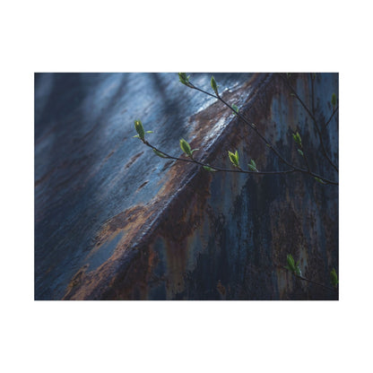 Rust Patina Canvas Art | Spring Dark Japandi Shadow Zen Art