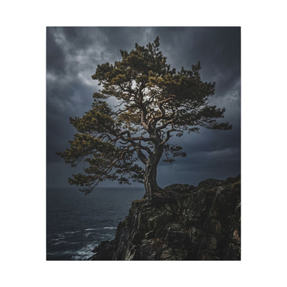 Dappled Pine Tree Canvas Art - Dark Japandi Fukinsei