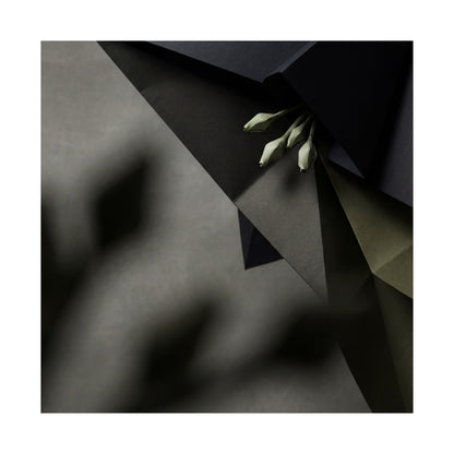 Paper Fold Wall Art Print | Spring Dark Japandi Moody Minimal Art