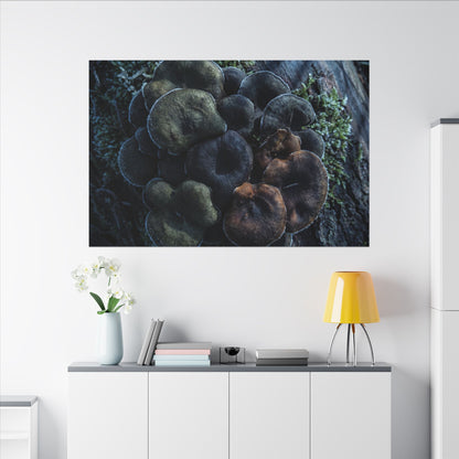 Wild Mushrooms Moody Minimal Canvas Art | Moody Dark Japandi Art
