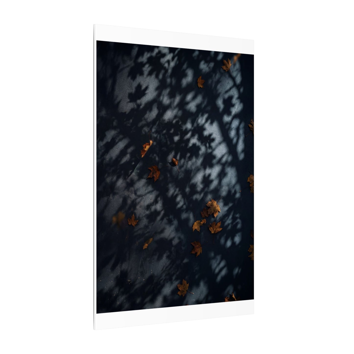 Autumn Shadow Play Shadow Zen Canvas Art | Atmospheric Decor