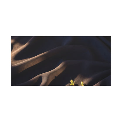 Silk Drape Shadow Zen Canvas Art | Luxurious Dark Japandi Art