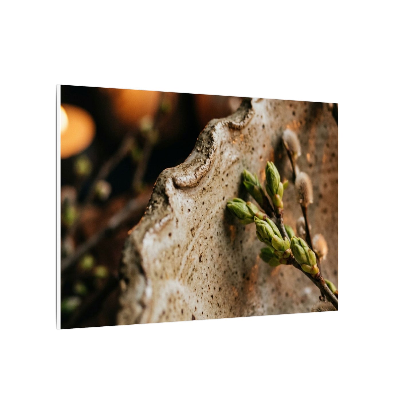 Overcast Ceramic Bowl Canvas Art - Japandi Ma