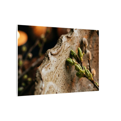 Overcast Ceramic Bowl Canvas Art - Japandi Ma
