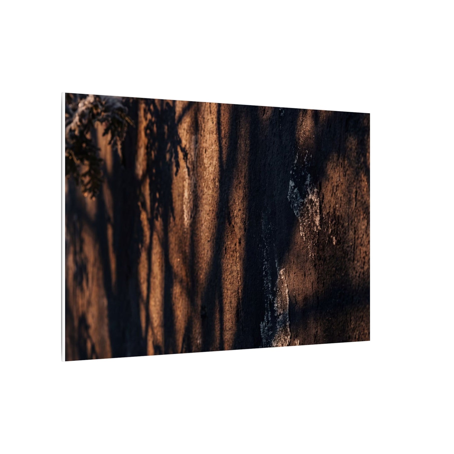 Golden Hour Shadow Play Canvas Art - Dark Japandi Fukinsei
